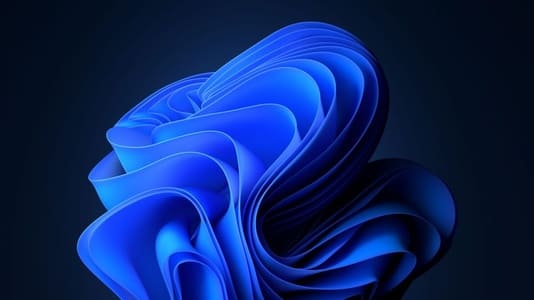 لایسنس اورجینال ویندوز 11